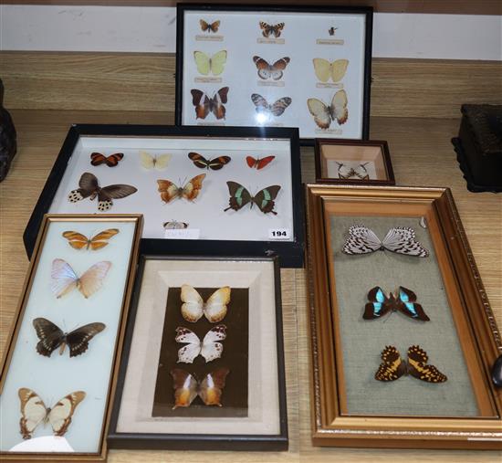 Six cased or framed butterfly specimens, mostly non-European